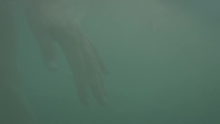 A hand at rest just under the surface of water