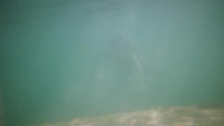 A clip of a female swimming underwater
