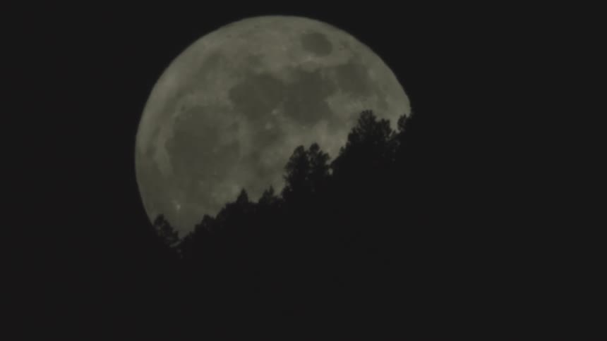 A moon rising along a forested hillside