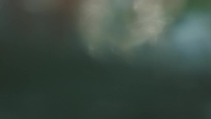 Close up of the feet of a person walking on a river or lake