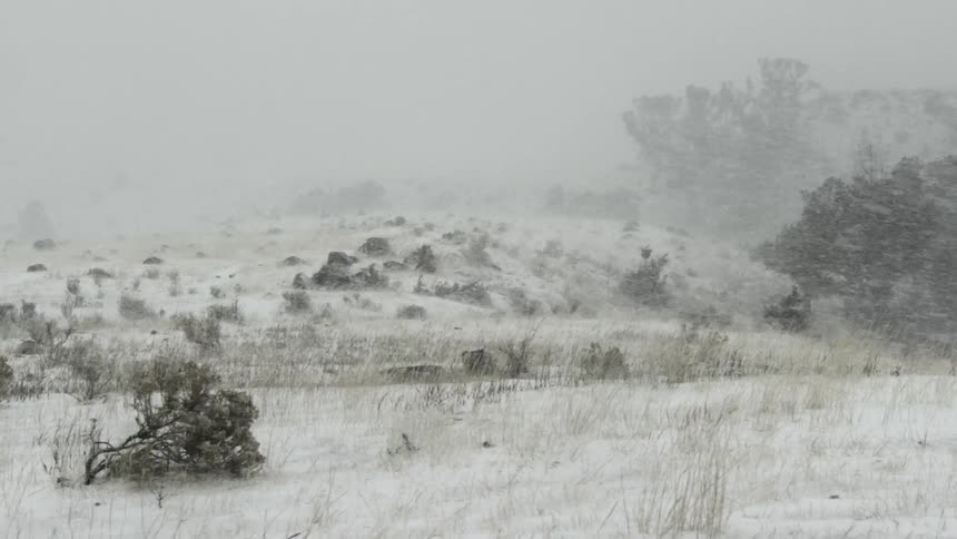 A hillside during a heavy snowstorm