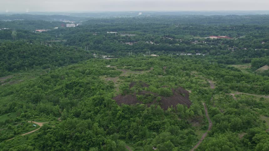 Aerial panorama of forests amid hills during the day