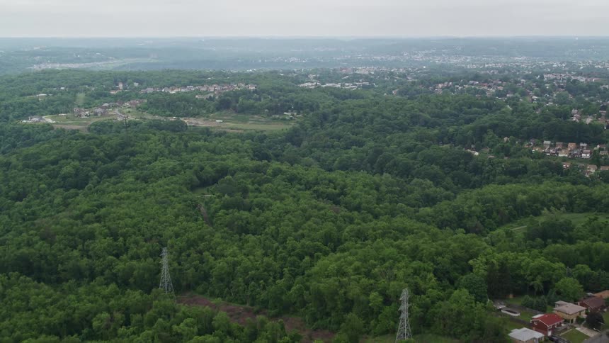 Aerial view of a suburban neighborhood with redroofed houses and streets surrounded by lush greenery