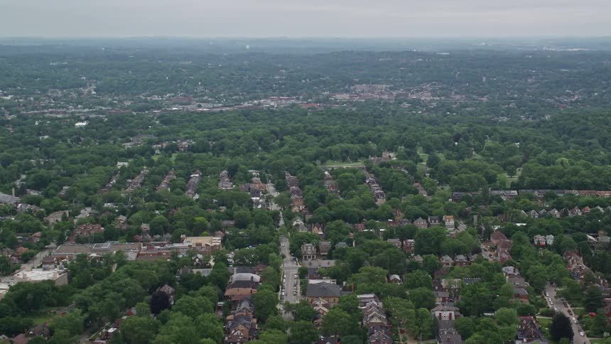 Aerial panorama of an urban neighborhood with vast vegetation on a cloudy day