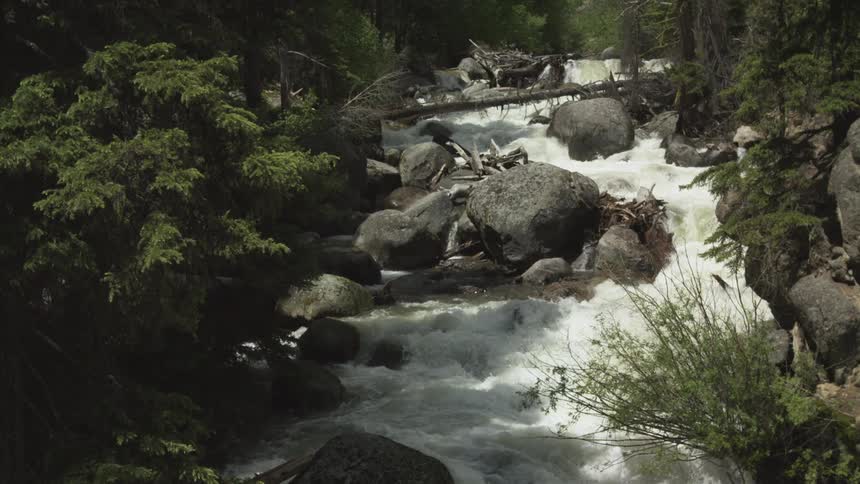 Flowing river amidst rocks in the forest