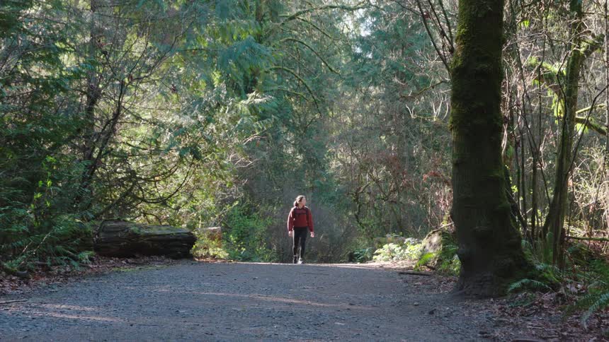 A person is walking on a forest trail at morning
