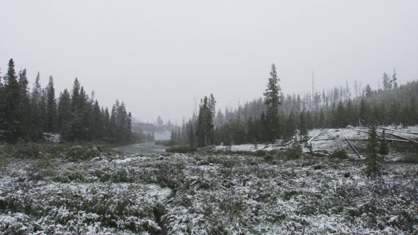 A spring snow falls onto river flowing between conifer covered slopes