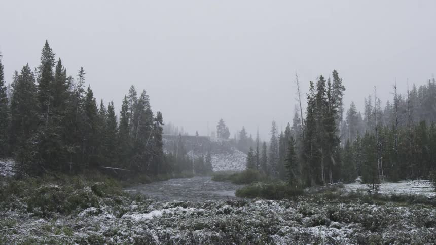 Snow falling along a forested riverbank
