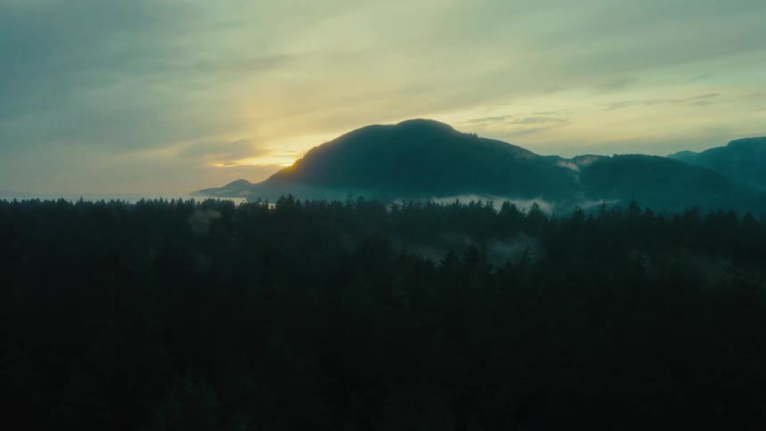 Panorama of a forest landscape with a mountain on the horizon and the morning sun reflection
