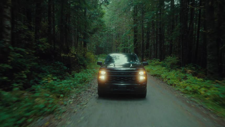 A truck drives through the forest