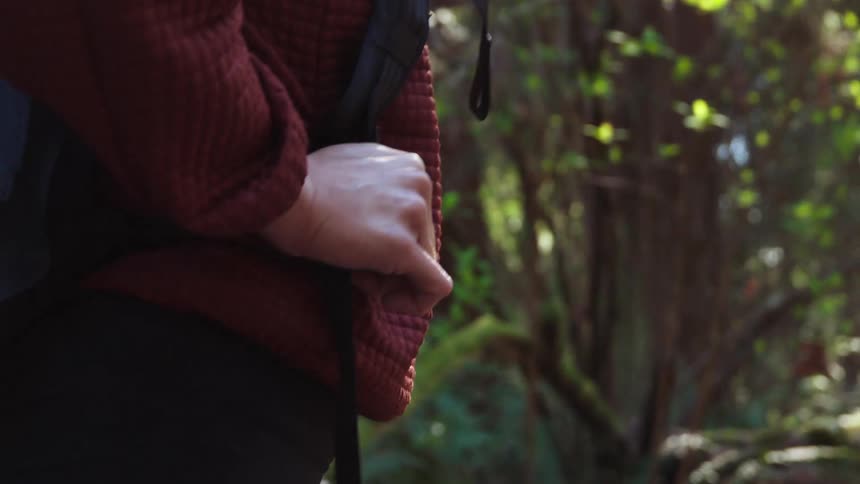A woman walks through a forest