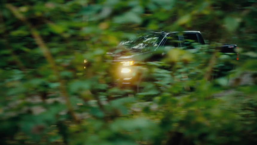 A truck drives on a road in a forest
