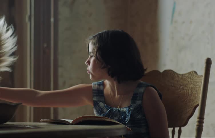 Girl sitting at home playing with a cat while reading a book