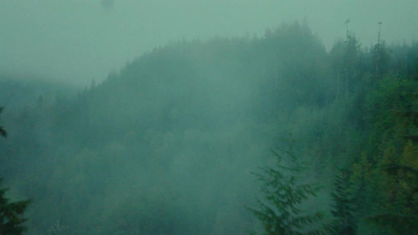 Fog blankets highlands and a deep forest