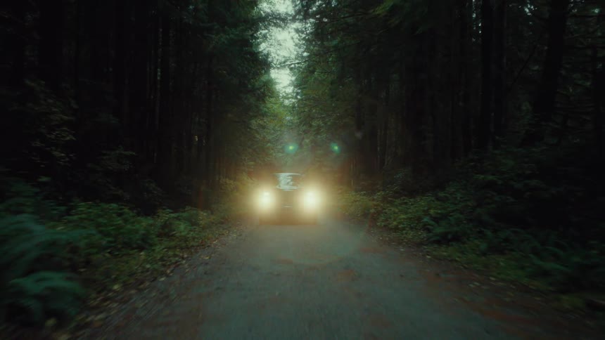 A black pickup truck drives with headlights on through a forest