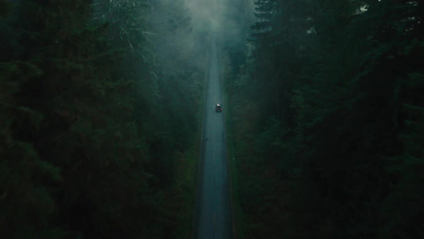 A black car is driving on an asphalt road in a region with tall trees and fog