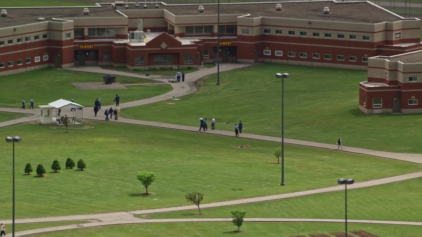 Students walk on campus down the paths