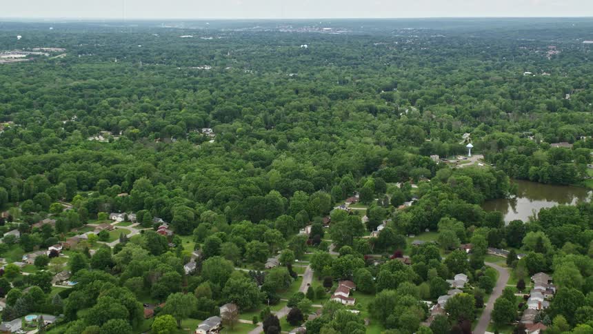 The suburbs are surrounded by trees