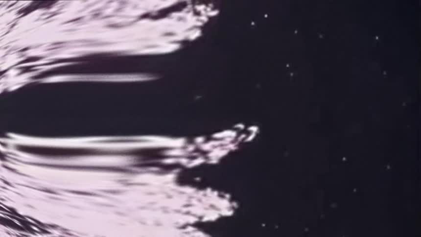 Microscopic image of abstract moving organisms on a dark background