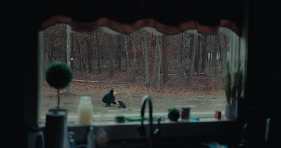 Person plays with puppy in yard near woods within sight of the kitchen window