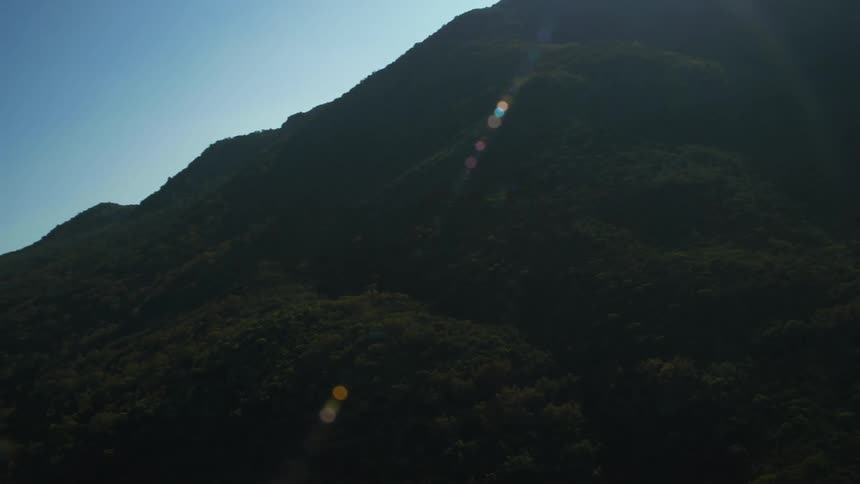 A mountain covered in a forest