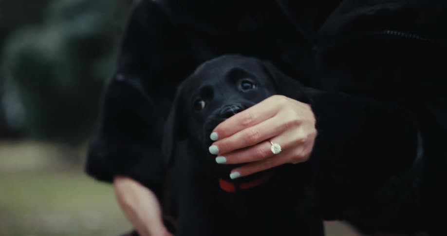 A woman picks up her puppy