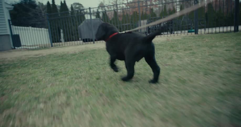 Person is walking with their dog quickly outdoors during fall