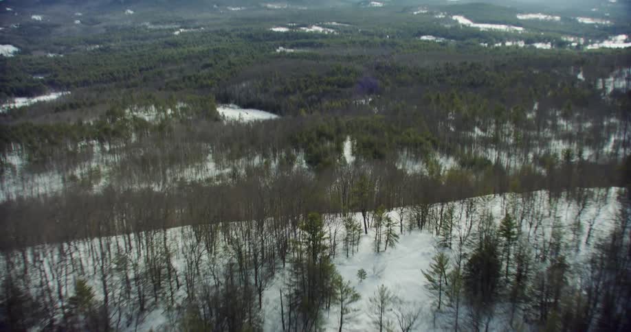 A valley with forests covered in snow