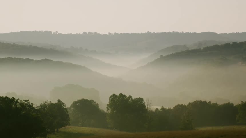 Landscape of forest trees in fields by hills and mountains in a morning
