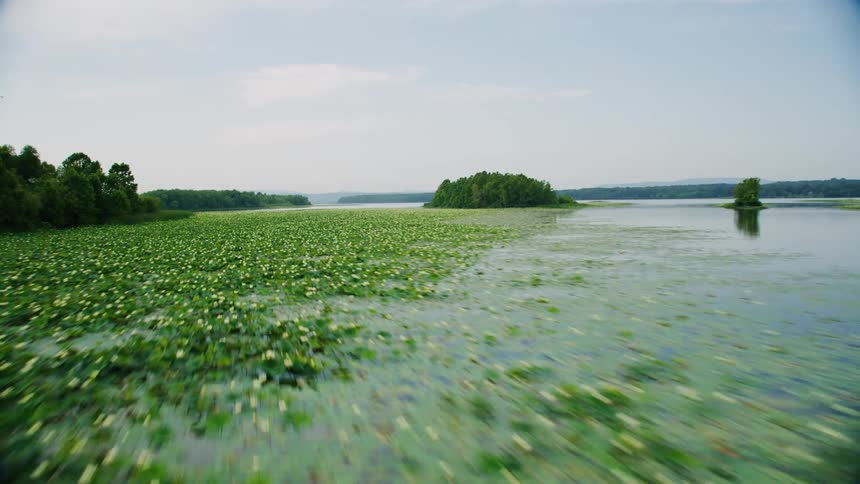 Aerial panorama close to the surface of a river with swamps and forests around
