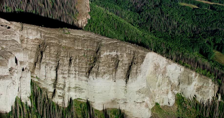 A forest surrounds the mountain range