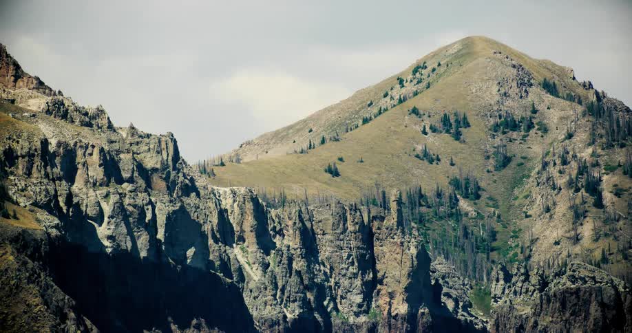 The mountain has trees all over