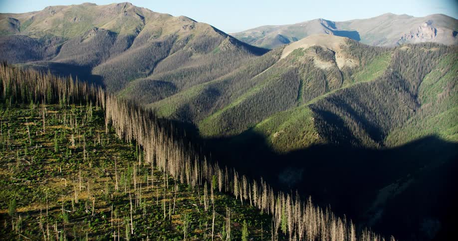 Aerial panorama of mountain ranges and greenish forests on a cloudless blue sky morning