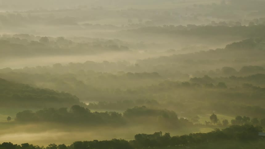 Dense fog obscures green fields and woods in the rural countryside