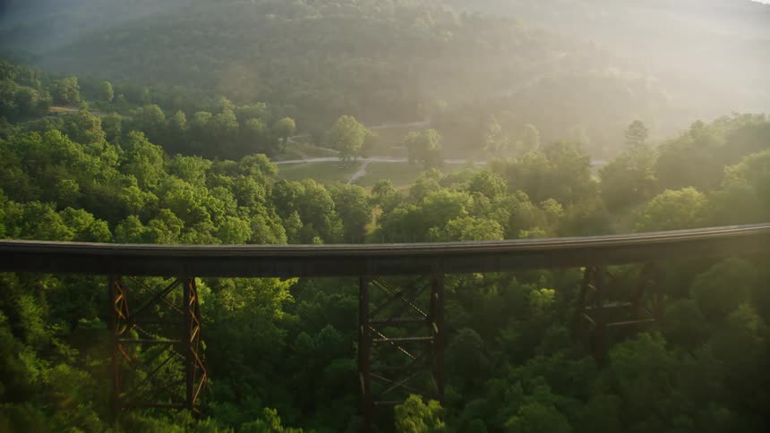 A bridge stands above the tops of the trees in the forest in front of a mountain