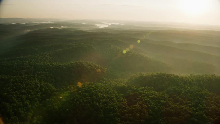 Aerial view of green hills covered in forests at dusk