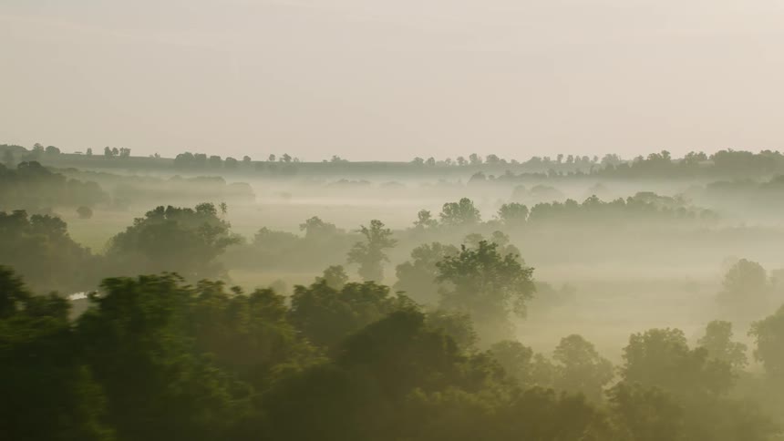 Aerial view of a green lush rural area covered in fog at morning