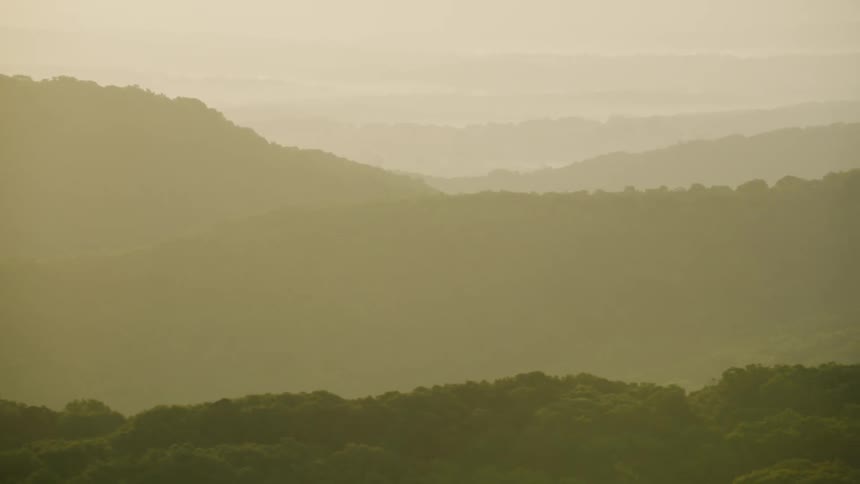 Trees covering mountain tops on a sunny day
