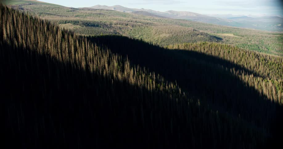 Dense trees are covering the mountain and valley