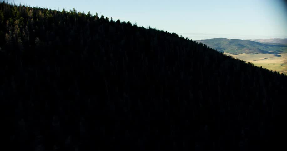 Trees are covering the tops of the mountains on a clear and sunny day