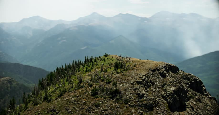 Mountain range covered in trees on a foggy midday