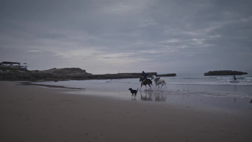 A clip of a person riding a horse and dogs chasing