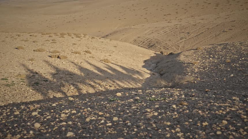 Shadow of people on camels walking across the desert sand