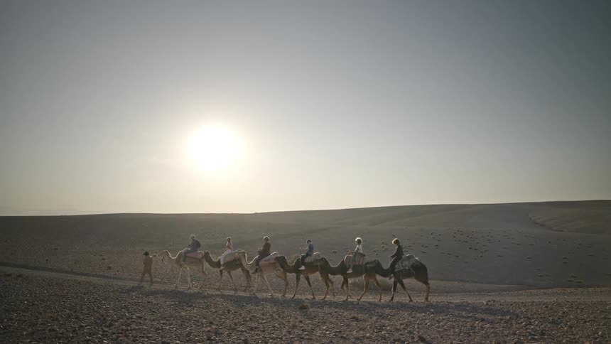 A group of people are riding camels in the desert during the daylight