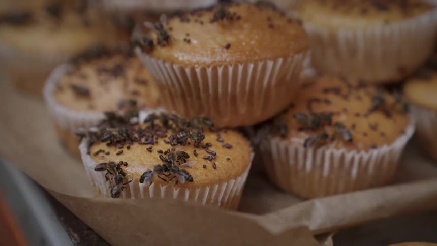 Swarm of honey bees eating a pile of poppyseed muffins left on a cookie sheet