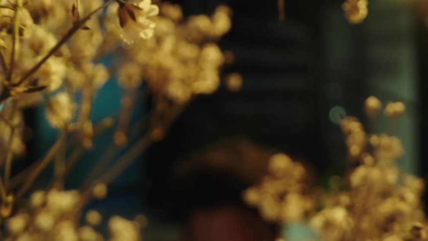 A close up clip of a man peeping through a plant