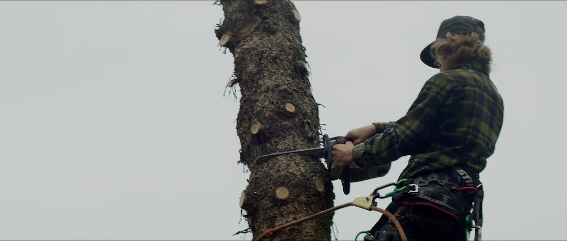 Man hanging from ropes on a tree while cutting it with a chain saw
