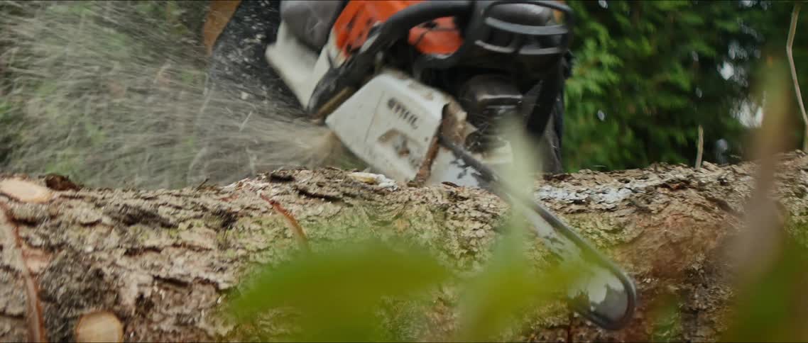A person is cutting into a tree while using a chainsaw