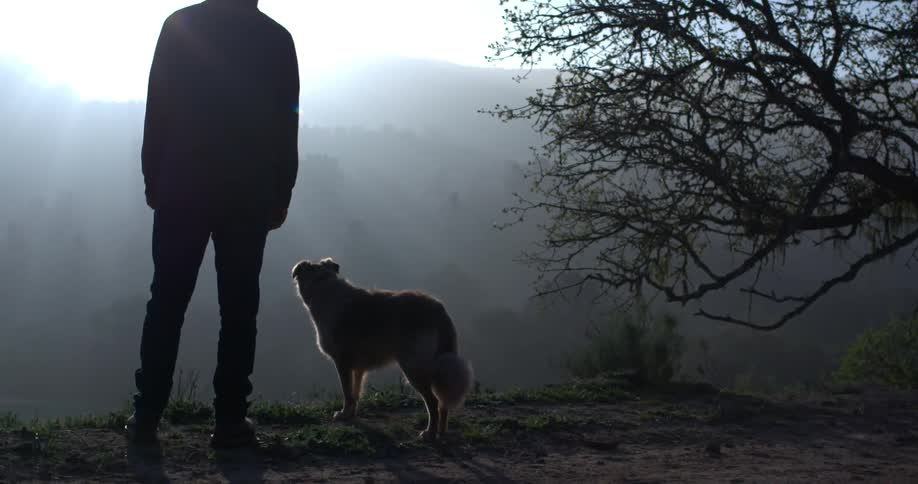 A person and a dog standing in the fog