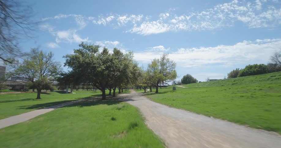 Park with greenery and trees in a metropolitan city